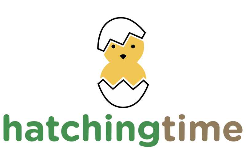 Hatching Time
